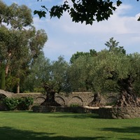 Photo de France - Le Jardin de Saint-Adrien : une oasis de verdure